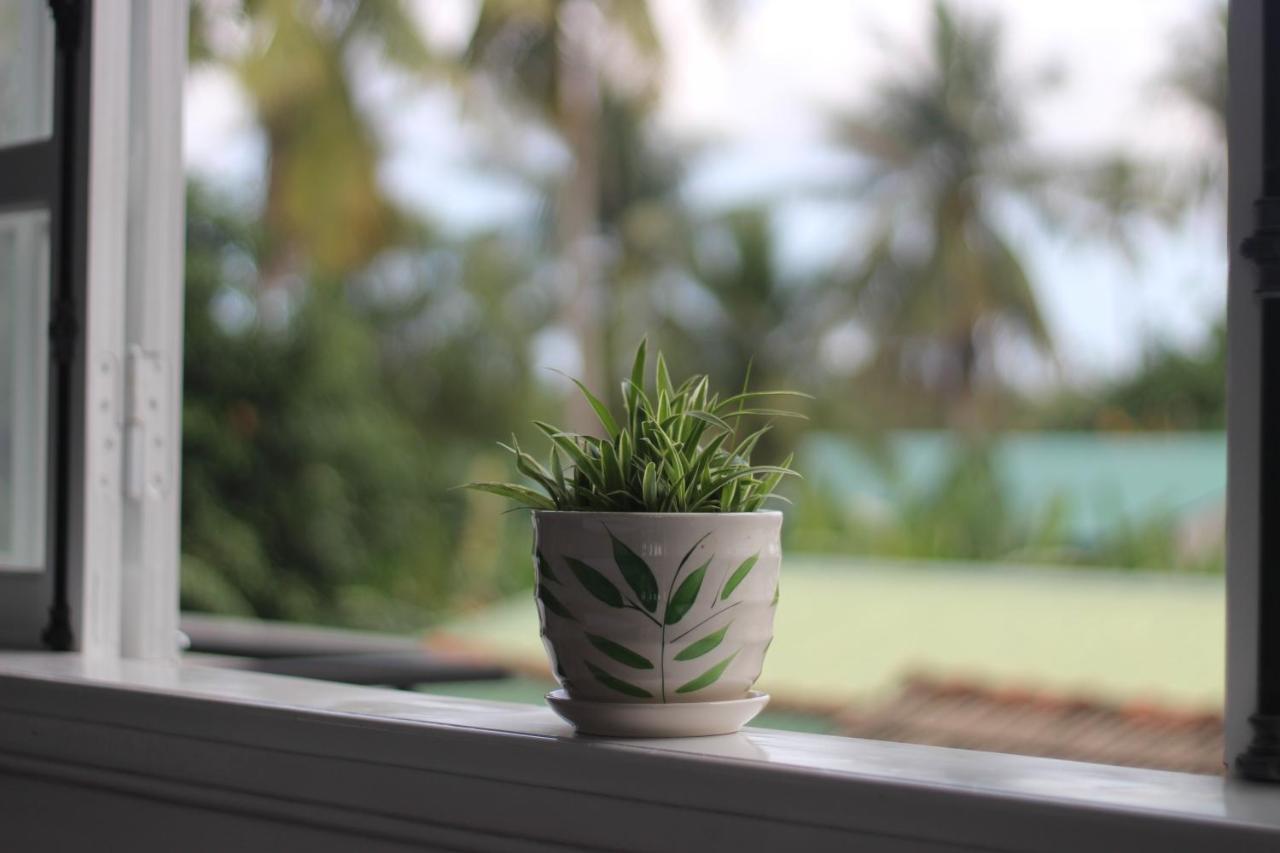 Tiny An Homestay Huế Kültér fotó