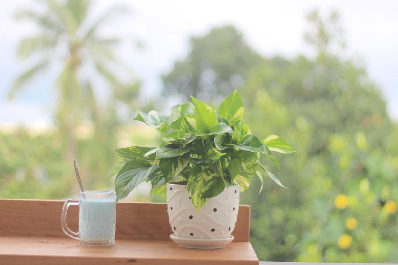 Tiny An Homestay Huế Kültér fotó